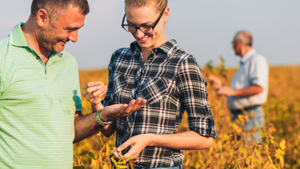 Agtech momentum program